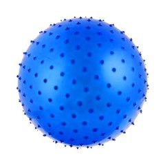 М'яч для фітнесу Shantou Gymnastic Ball синій 75 см MiC (CO1006)