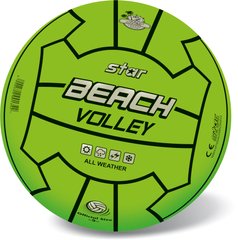 М'яч "Пляжный волейбол", 21 см Dream Makers (10/134)