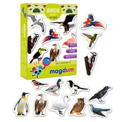 Магнітний набір Magdum Птахи. (ML4031-30 EN)