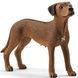 Фігурка Родезійський риджбек Schleich (13895)