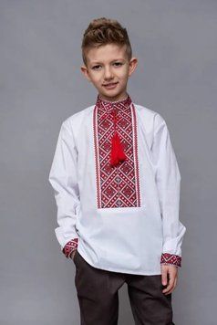 Вишиванка Hart (5519)