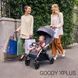 Прогулянкова коляска Chicco Goody XPlus