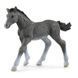 Игровая фигурка Schleich Тракенный жеребенок (13944)