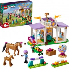 Конструктор LEGO Friends Тренировки лошади (41746)