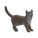 Фигурка Schleich Британская короткошерстная кошка (13973)