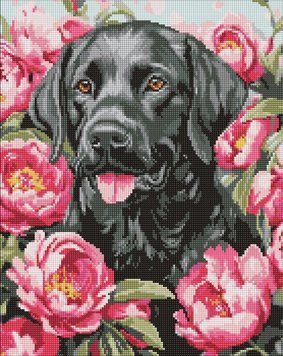 Алмазна мозаїка - Собака у півоніях &copy;art_selena_ua 40х50см Ідейка (AMO20084)