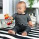 Погремушка Baby Einstein "Cal&rsquo;s Sensory Shake-up" (16707)