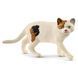 Ігрова фігурка Кішка американська Schleich (13894)