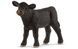 Фігурка Schleich Чорний ангуської теля (13880)