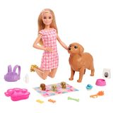 Игровой набор BARBIE FAMILY Маленькое трио (HCK75)