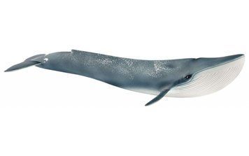 Фигурка Schleich Синий кит (14806)