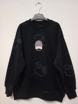 Пайта (2828)