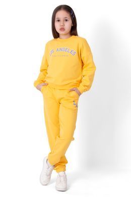 Костюм спортивный Mevis (4569)
