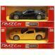 Chevrolet Corvette C6R Uni-Fortune (554003)