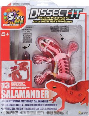 Развивающий набор Joker Slimy Lab Анатомия животных - Саламандра (38071)