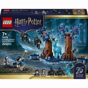 Конструктор Lego Harry Potter Запретный лес: Экспекто патронум (76475)