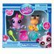 Набір Littlest Pet Shop Полювання на скарби (627)