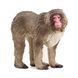Фігурка Schleich Японська макака (14871)